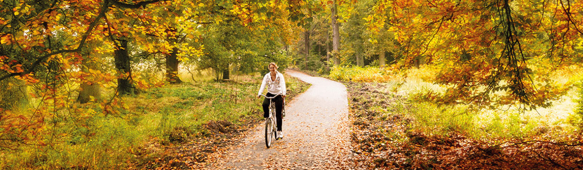Fahrradfahrerin in Herbstwald