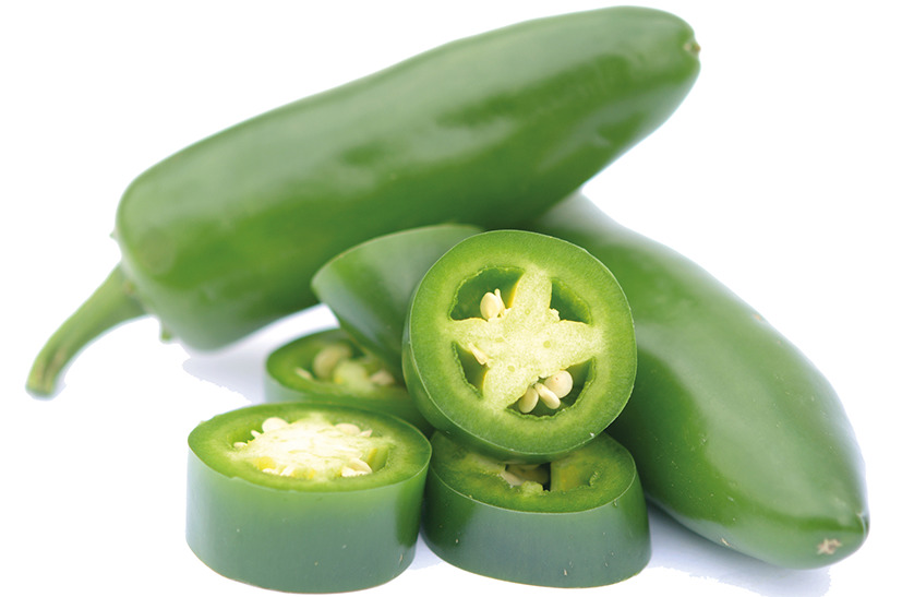 Chilaquiles (ein scharfes Gericht aus Mexiko für 46 Personen) djournal