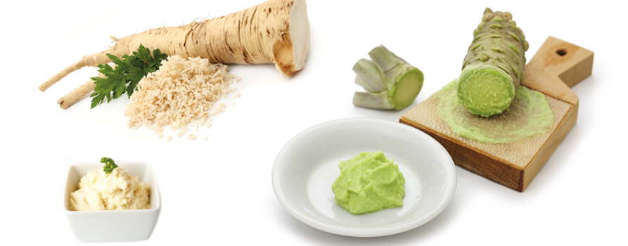 Meerrettich und Wasabi