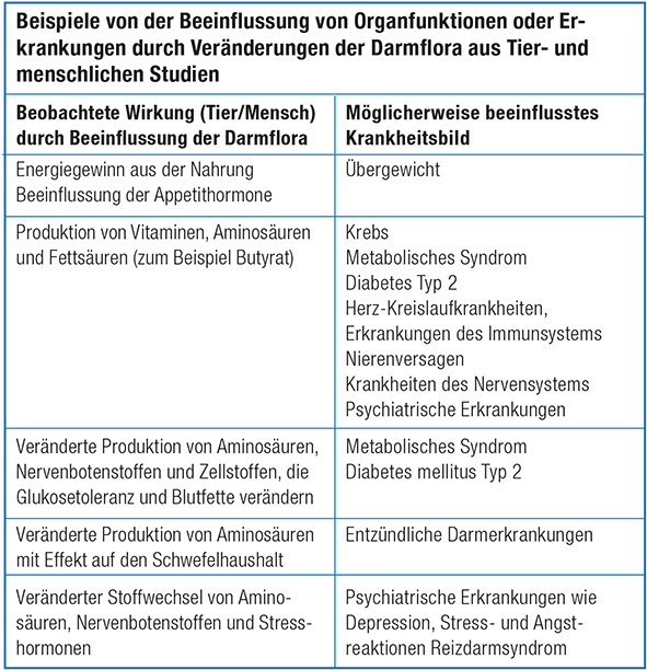 Tabelle Darmflora