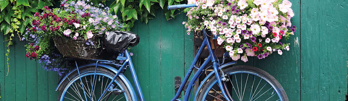 Blaues Fahrrad mit Blumenkorb