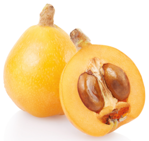 Wollmispel Loquat