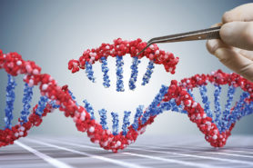 DNA-DNS-Sequenz